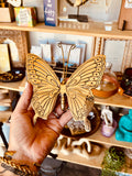 Brass Butterfly Large